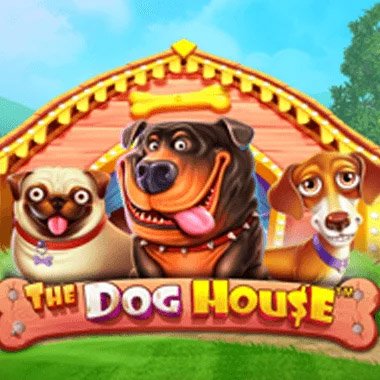 Collection of 30 casino and live games